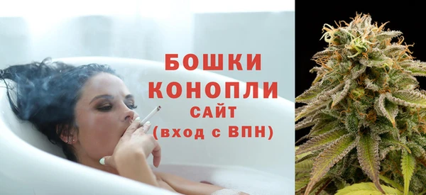 сатива Касимов
