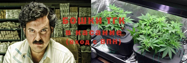 сатива Касимов